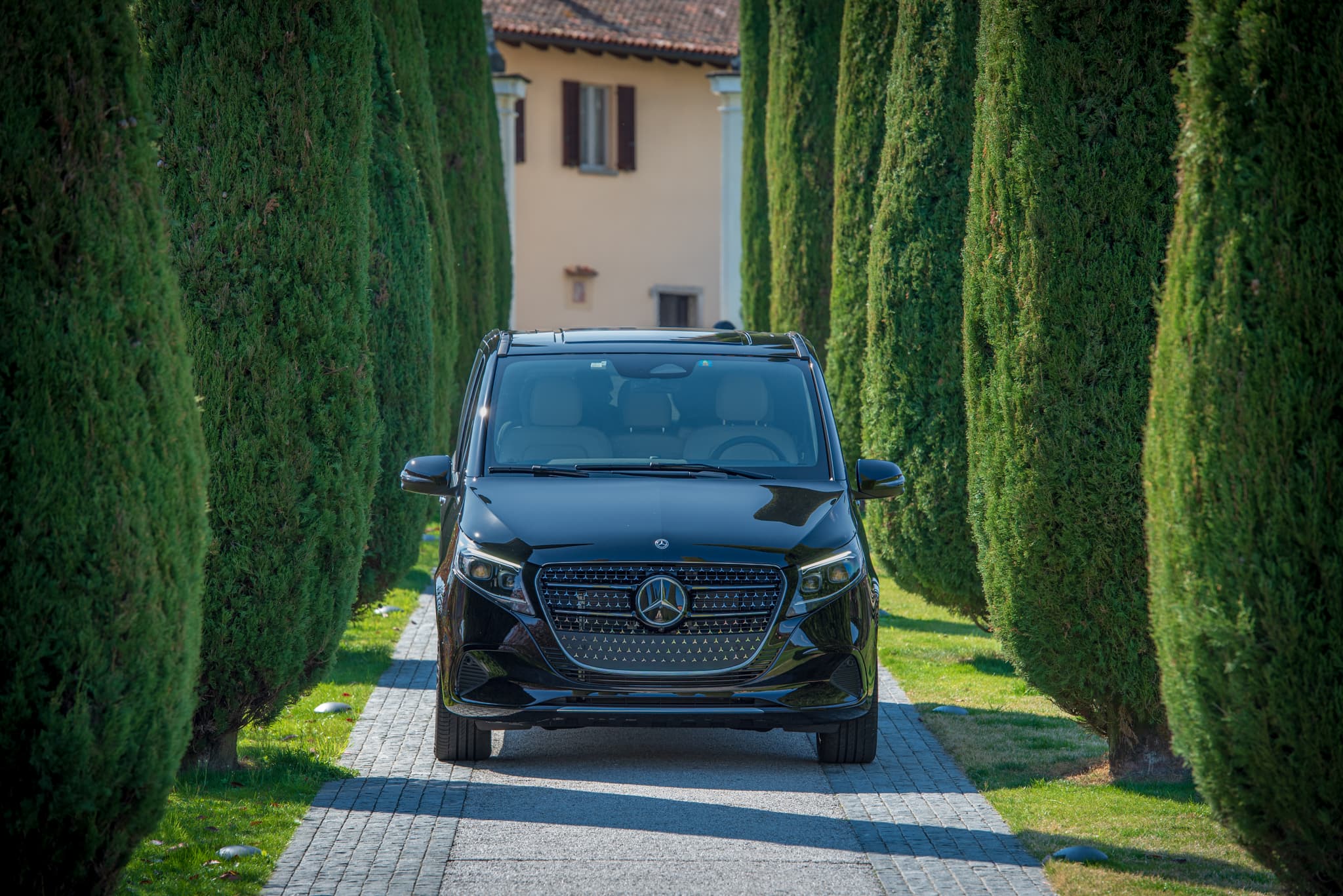 Van Business - image 1